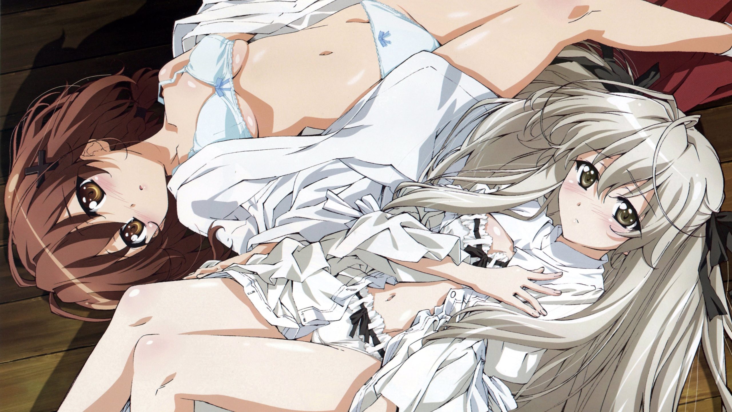 สปอยละเอียดอนิเมะ Yosuga no Sora ส่งแรงบันดาลใจ